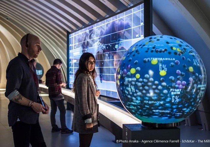 Billet coupe-file - Cité du Vin à Bordeaux avec dégustation