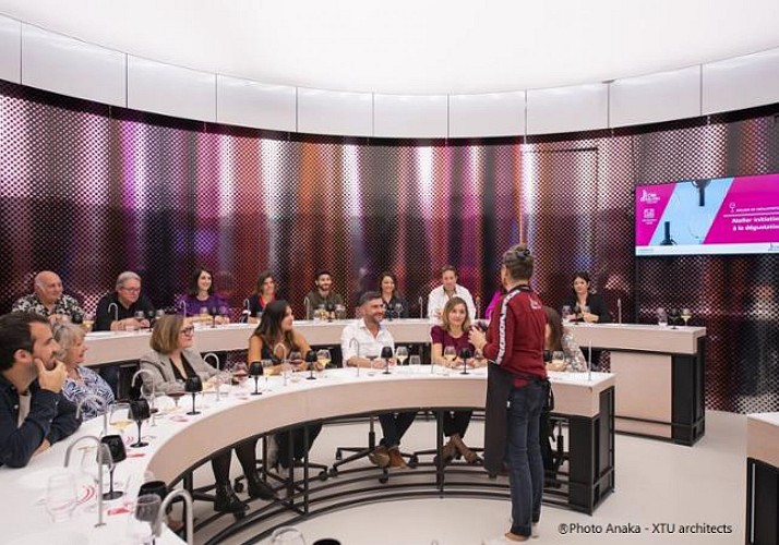 Billet coupe-file - Cité du Vin à Bordeaux avec dégustation