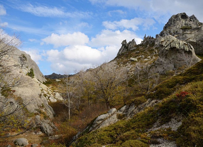 Approche de la pole, voie "normale"