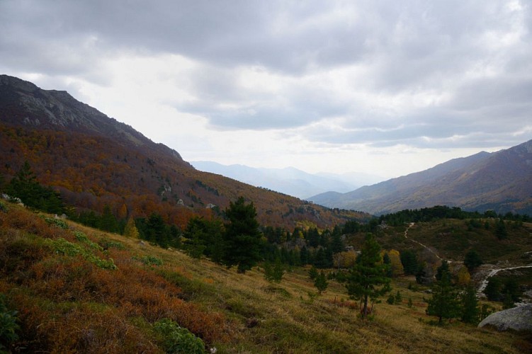 Descente directe depuis la poule