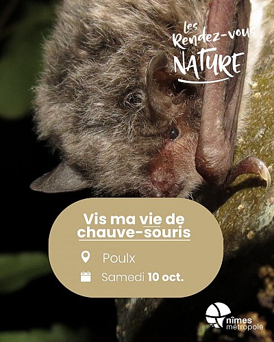 Rendez-vous Nature - Animations et balades gratuites à Poulx