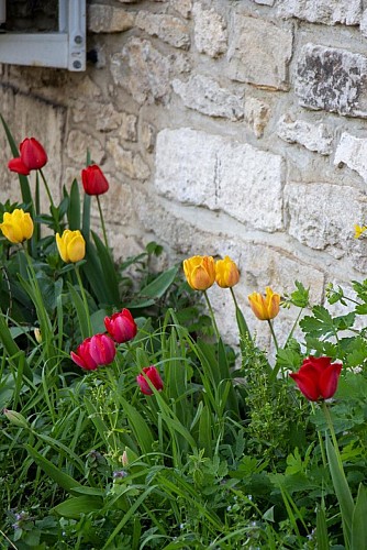 Au Logis Noisette
