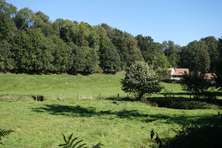 La vallée du Saumort (ruisseau)