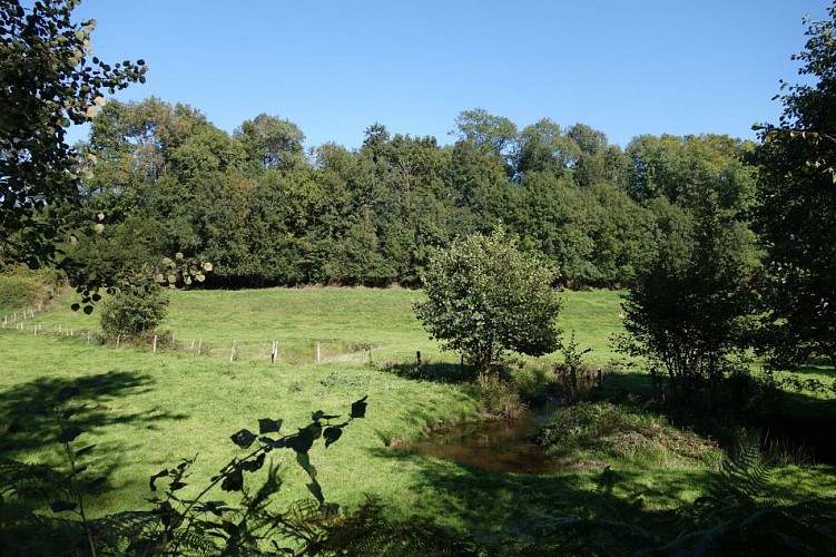 La vallée du Saumort (ruisseau)