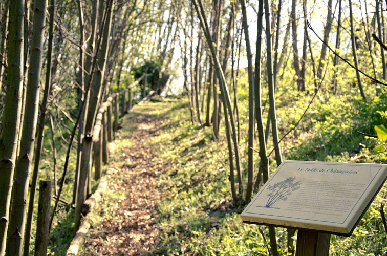 Le village de vanniers de la Fazilière