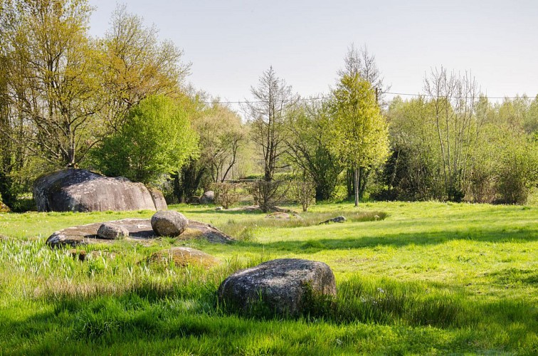 Le bourg, l'église et les bords de Sèvre