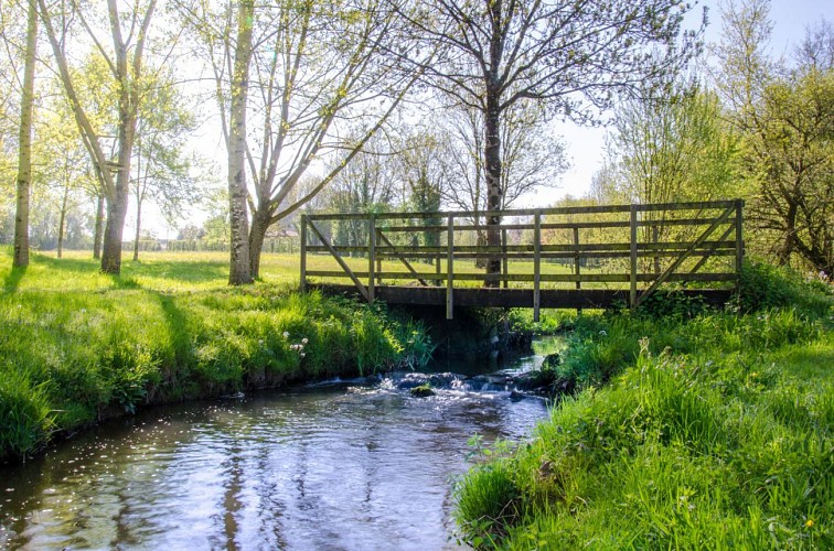 Le bourg, l'église et les bords de Sèvre
