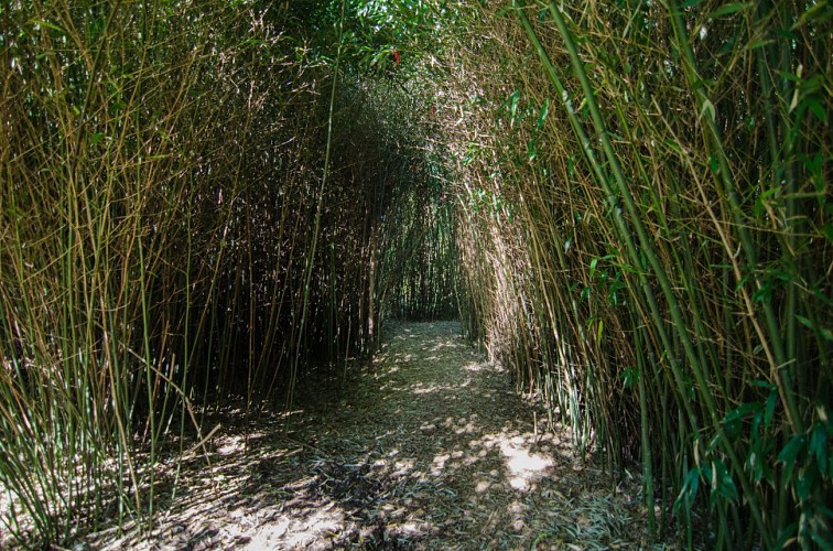 Le bourg, l'église et les bords de Sèvre