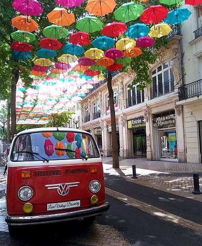 LOIRE VINTAGE DISCOVERY