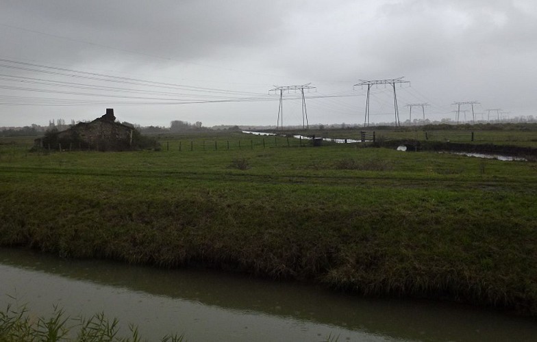 le marais de Saint Louis saint Simon