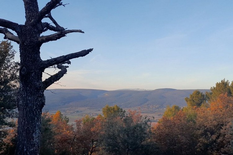 Au nord-ouest : combe de Font Jouvale et Mont-Ventoux