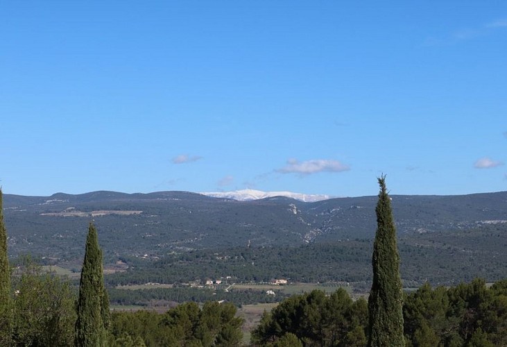Le Ventoux depuis Roussillon