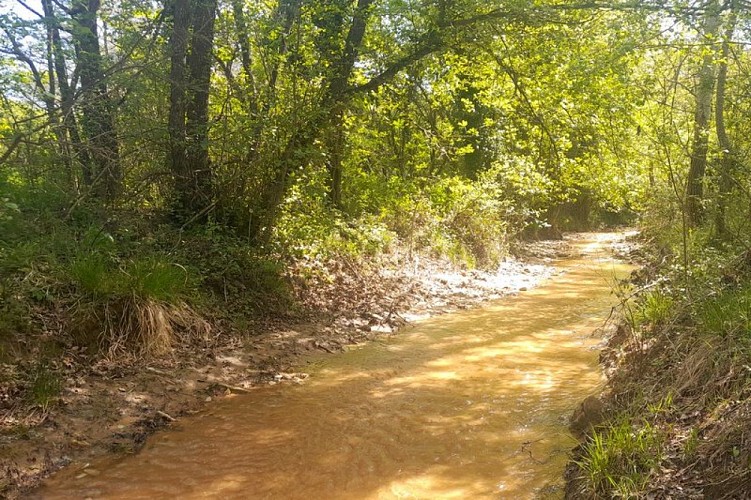 La Dôa