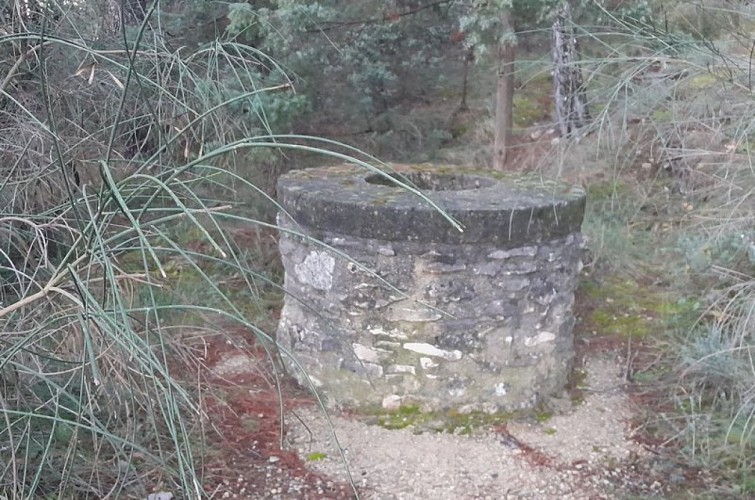 Puits de Perréal