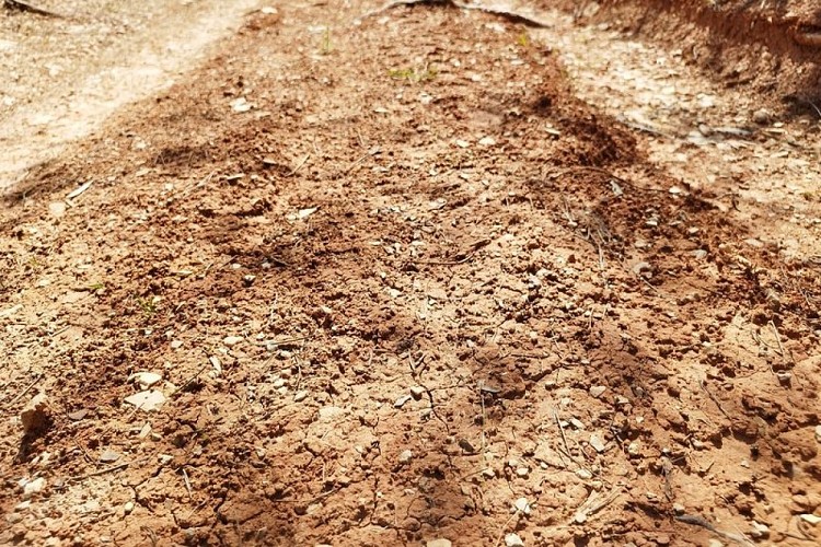Géosite de Gargas