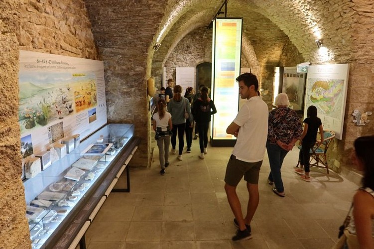 Musée de géologie
