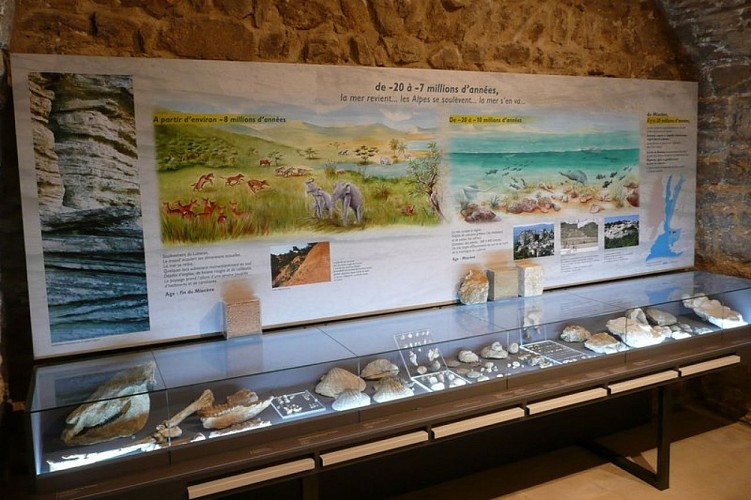 Musée de géologie