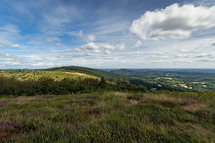 Aire de pique nique du Puy de la Monédière