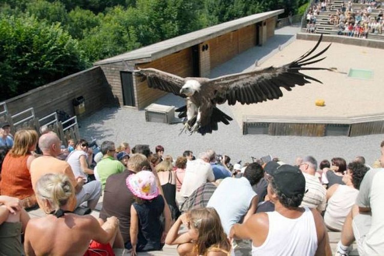 Courzieu park, birds of prey and wolves