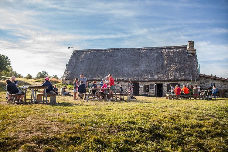 Dernière ligne droite
