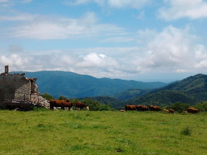 Chaumes du Wissgritt