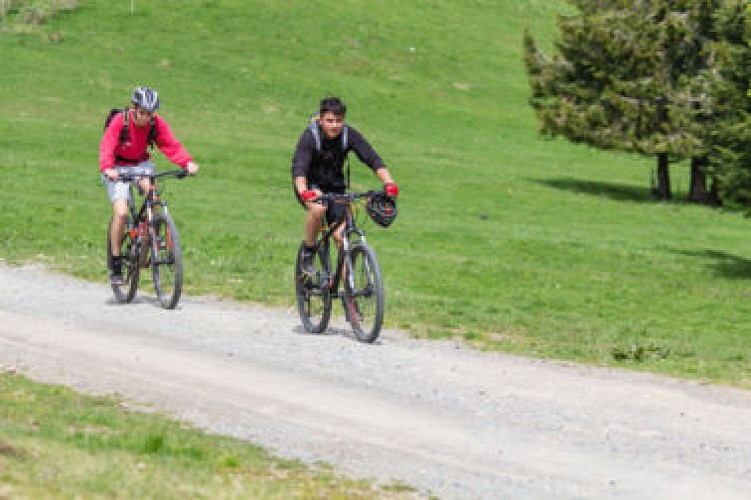 VTT