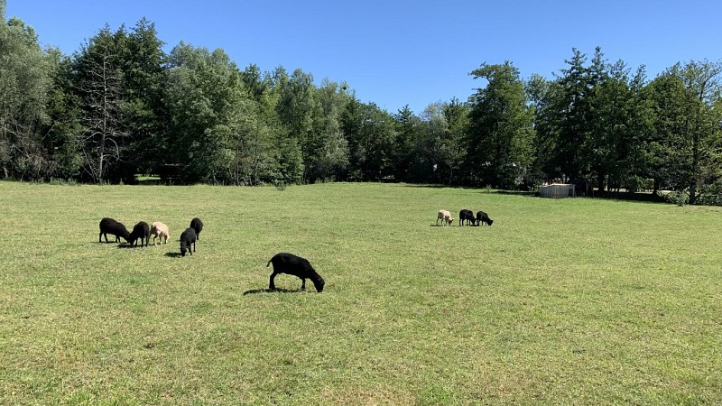 Camping du Sevron