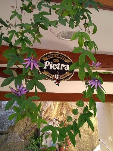 Bar Restaurant Cala di Sole