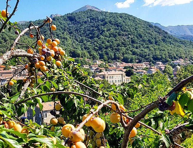 IMG-20200814-125506-606