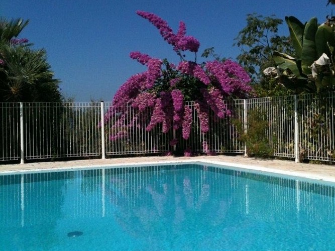 U LICETTU PISCINE_3
