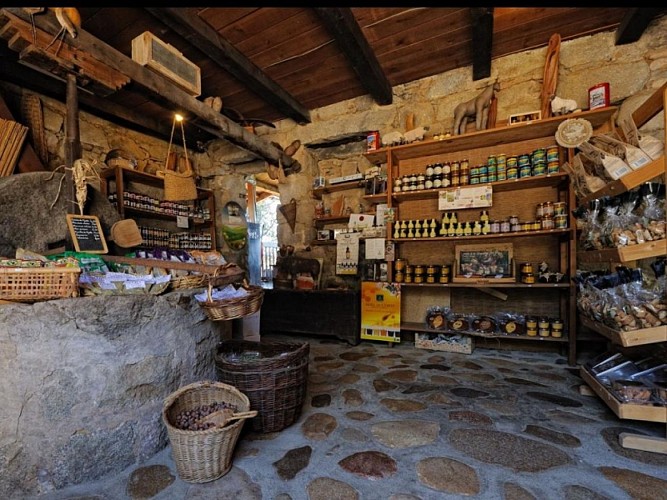 RESTAURANT BERGERIE D'ACCIOLA - SARTENE_3