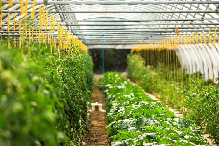 PROD Jardins de la Testa 2023 04