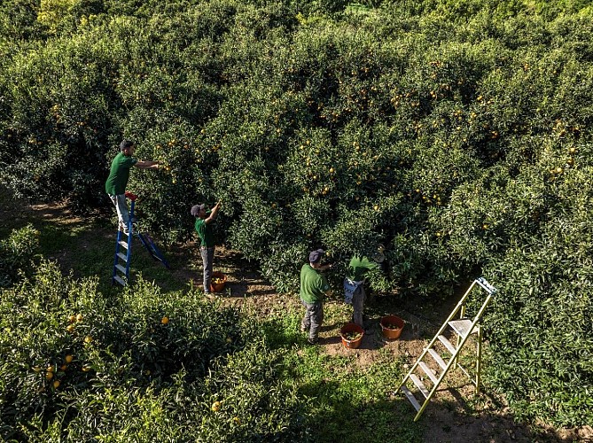 PROD Jardins de la Testa 2023 06