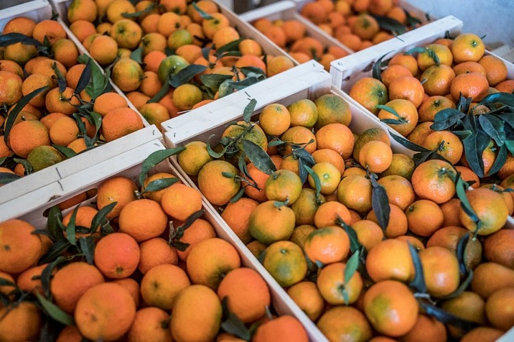 PROD Jardins de la Testa 2023 07