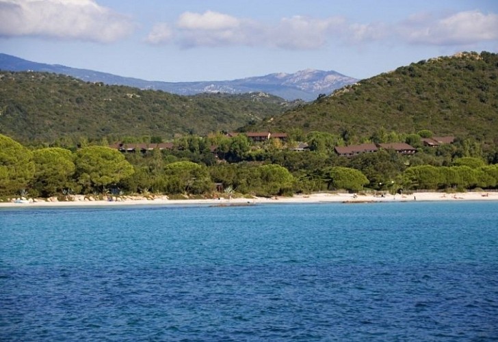 RESIDENCE CASTELL VERDE _1