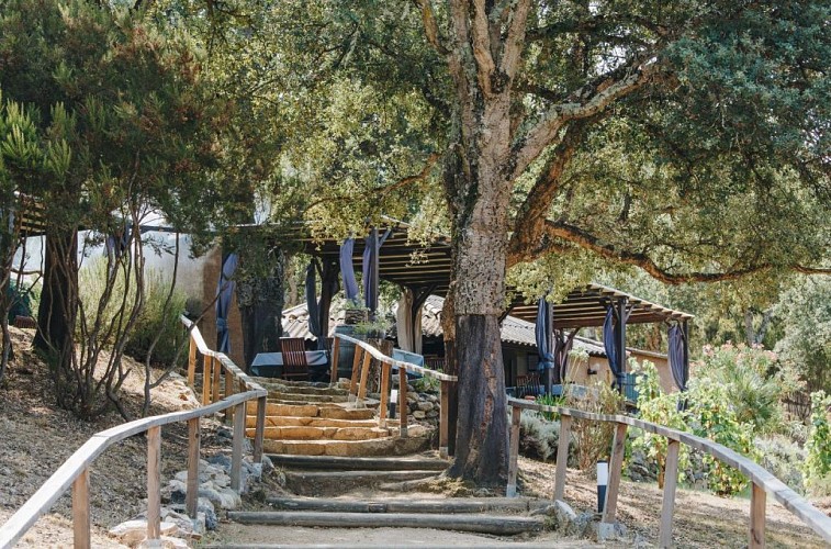 RESTAURANT-LEFRERE-ABBATUCCI-4
