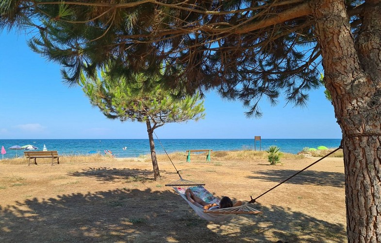 PINEA MARE (1)