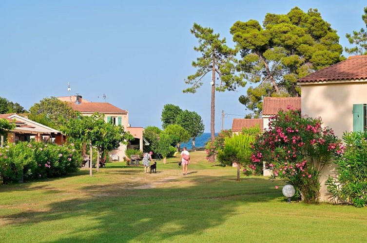 PINEAMARE--8----Roxane-Gabella