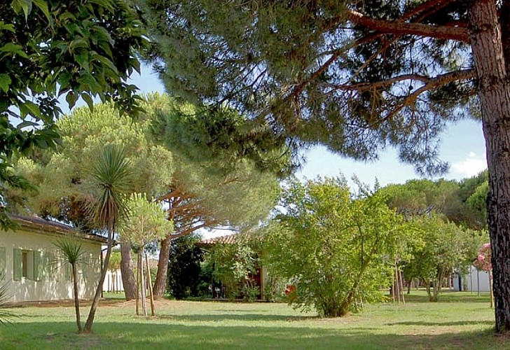 ALBA SERENA_4_4