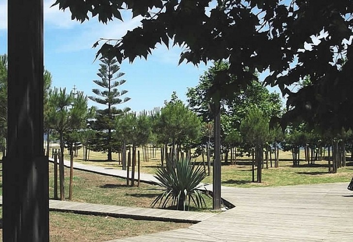 ALBA SERENA_7_7