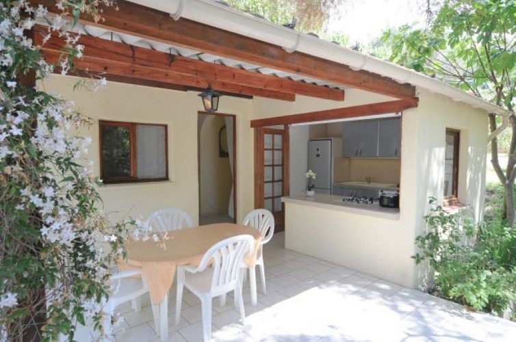 terrasse-olivier