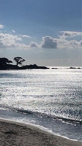 L'ACCIARO PLAGE