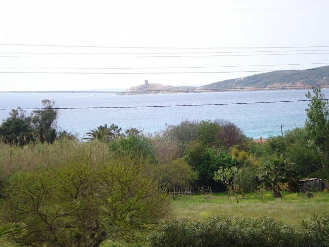 MAINA_5_5