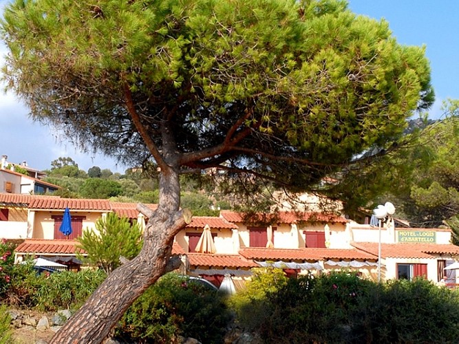MOTEL LOGIS ABBARTELLO_2_2