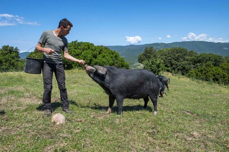 BARONCIA DOMAINE AGRICOLE