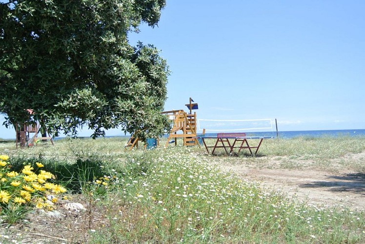 DSC-8498