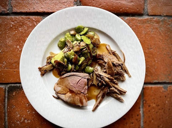 cappa-2