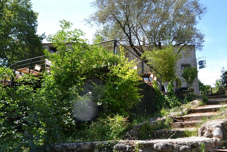 umulinucasalabriva