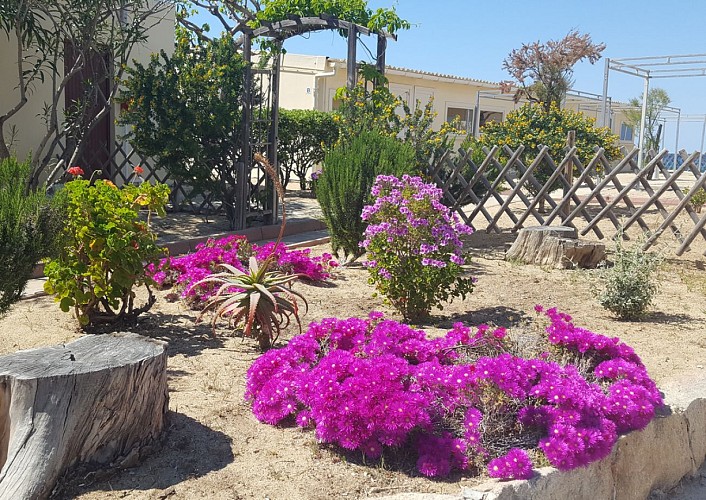 escaleplagealgajola