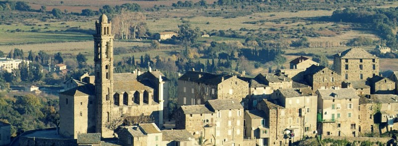 Venzolasca
